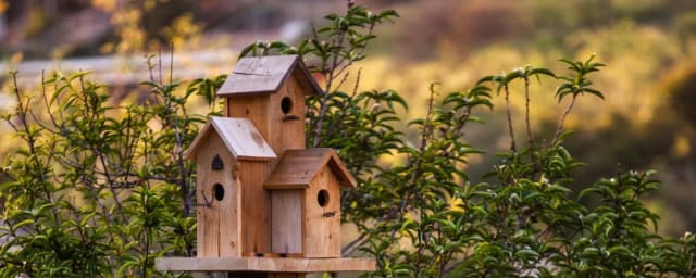 garden birdhouse with sunflowers — Sage Hill Ranch Gardens, from its own website