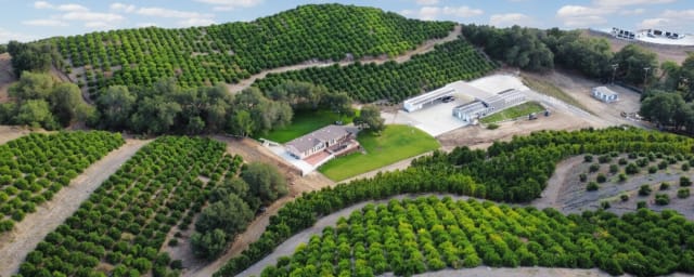 aerial photo of farm property and orchards — Sunmist Farm, from its own website