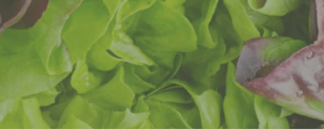 produce close-up — Halcyon Farms, from its own website