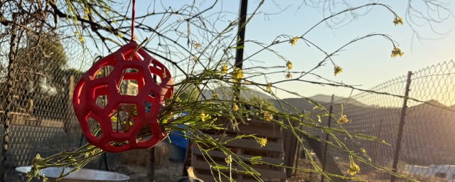 animals at ranch — The Graff Family Ranch, from its own website