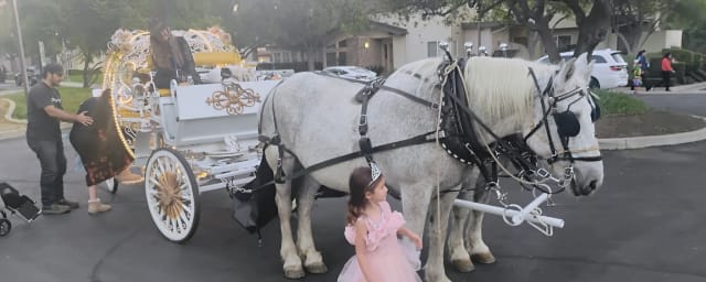 horse-drawn carriage with horses — Giddy Up Ranch, from its own website