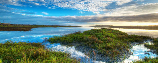 wetland/marsh landscape — Bolsa Chica Conservancy Interpretive Center, from its own website