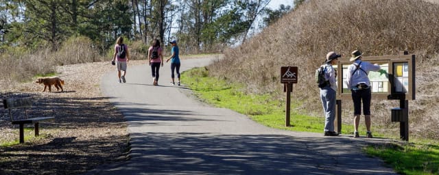 trail photograph — Tilden Regional Park, from its own website