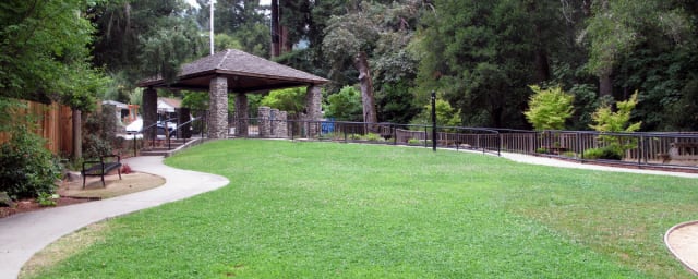 park grounds — Junction Park, from its own website