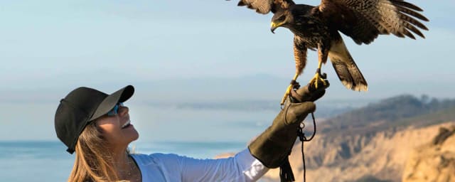 raptor experience photo — Total Raptor eXperience, from its own website