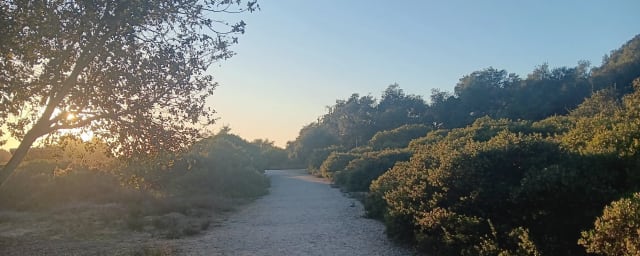 trail/path through native garden grounds — Nipomo Native Garden, from its own website