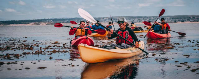 kayaking activity photo — Adventure By The Sea Kiosk, from its own website