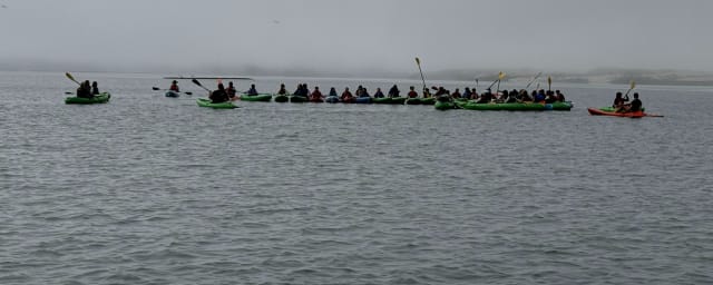 kayaking activity photo — Morro Bay Paddlesports, from its own website