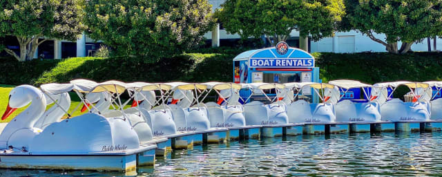 venue photograph — Rainbow Lagoon Swan Boats by Wheel Fun Rentals, from its own website