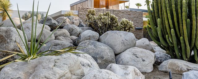 architecture photograph — Palm Springs Mod Squad (Architecture Tours), from its own website