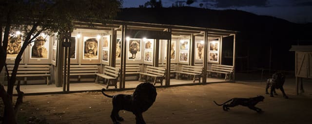 The Roar Foundation/Shambala Preserve, from its own website