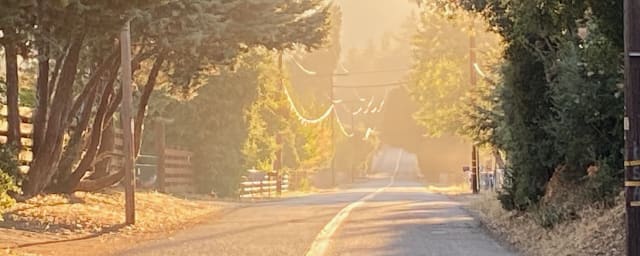 Old Peacefield Orchard, from its own website