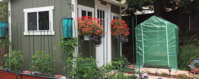 Clayton Historical Society Museum, from its own website