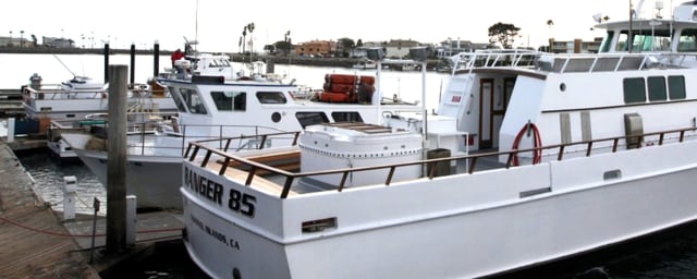 Channel Islands Whale Watching, from its own website
