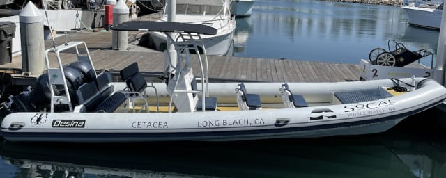 SoCal Whale Watching, from its own website