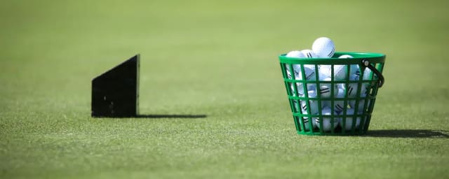driving range basket of golf balls with tee marker — Del Mar Golf Center - Pelly's Mini Golf, from its own website