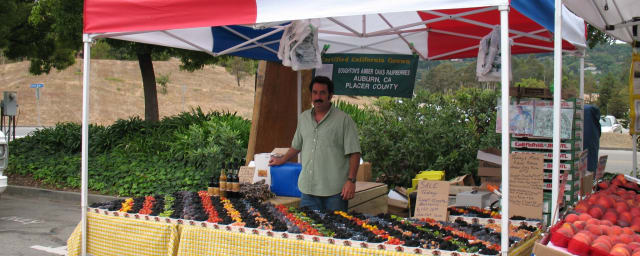 Amber Oaks Berry Farm, from its own website
