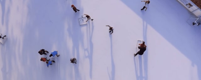 Fields of Ice, from its own website
