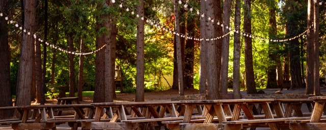 Apple Hill | High Hill Ranch, from its own website
