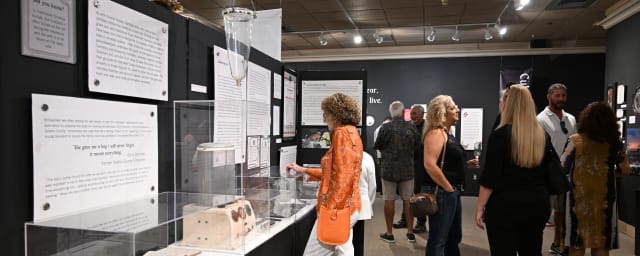 Vacaville Museum, from its own website