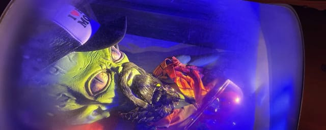 Wild Goose Escape Rooms - Irvine, from its own website
