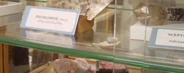 Children's Natural History Museum, from its own website