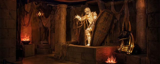 venue interior/exhibit photograph — The Hollow Awakens, from its own website