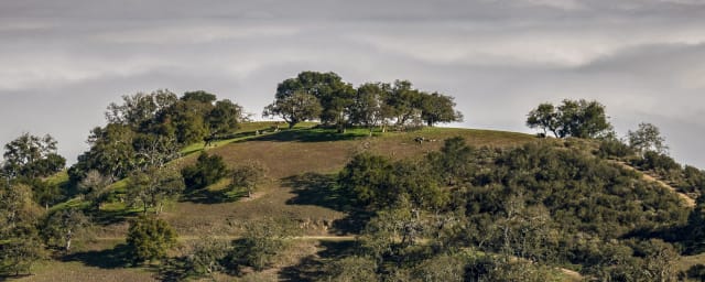 Fremont Peak State Park, from its own website