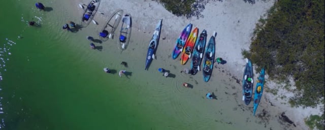 Island Ferry of St Pete, from its own website
