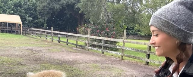 animal interaction at venue — Animal EDventure Park & Safari, from its own website