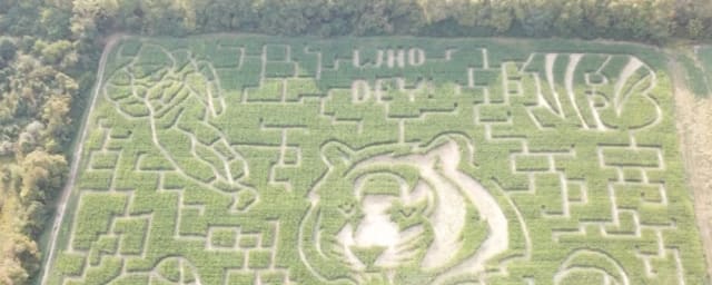 Irons Fruit Farm, from its own website