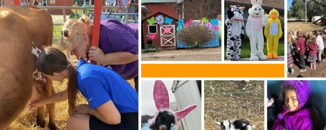 Bowlander Farm, from its own website