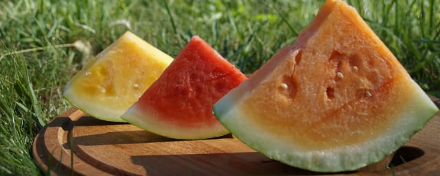Rainbow Farms, from its own website