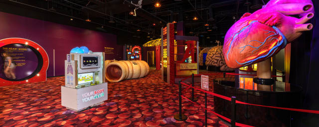 The Health Museum, from its own website