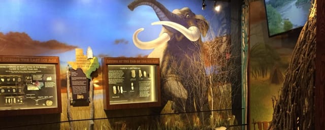 Pearce Collections Museum, from its own website