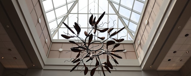 Art Museum of Southeast Texas, from its own website