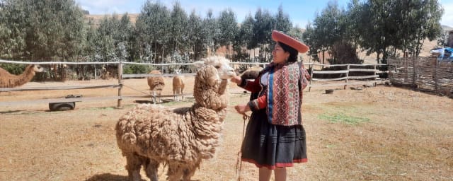 posed-portrait-with-animals — Alpaquita Ranch, from its own website