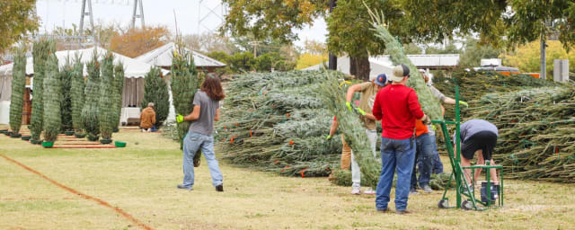 activity at venue — Brungot Farms, from its own website