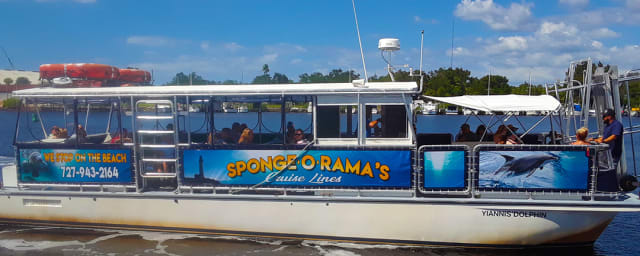 Island Adventure Dolphin Cruise Tarpon Springs, from its own website