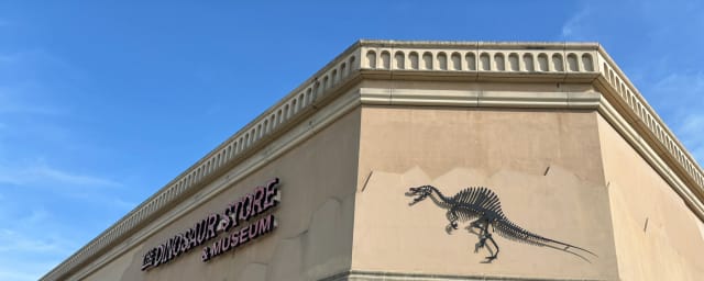 The Dinosaur Store, from its own website