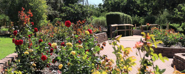 South Texas Botanical Gardens & Nature Center, from its own website
