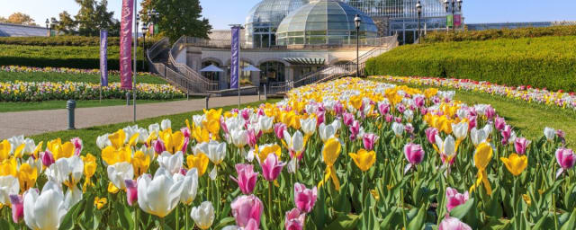 Phipps Conservatory and Botanical Gardens, from its own website