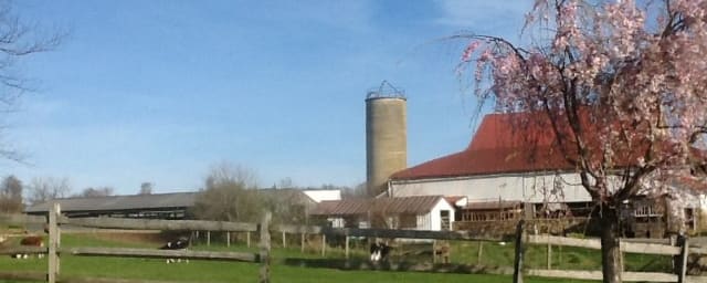 Milky Way Farm, from its own website
