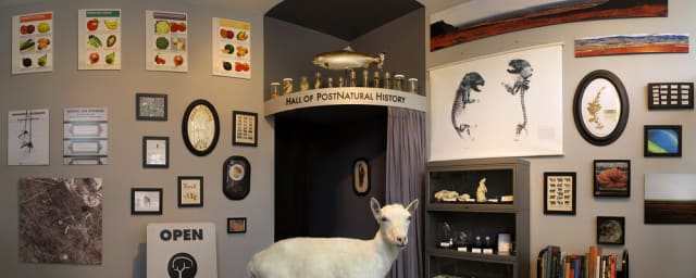 Center for PostNatural History, from its own website