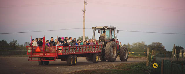 Linvilla Orchards, from its own website