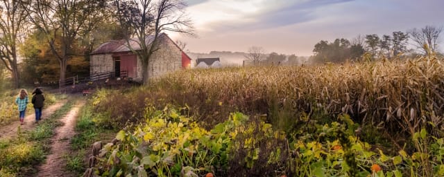 Savidge Farms, from its own website