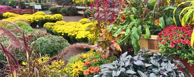 garden display — Shady Brook Farm, from its own website