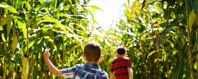 Northern Star Farm, from its own website