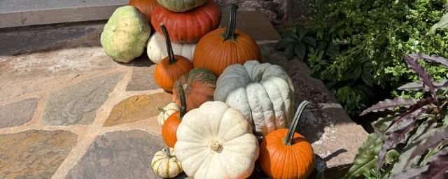 Arader Farm, from its own website