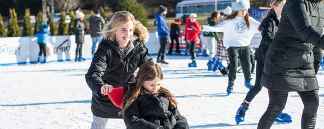 activity photograph — Flight On Ice Delco River Rink, from its own website